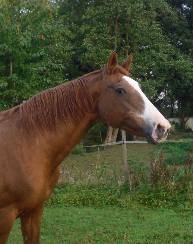 miranda-21-09-2016-b