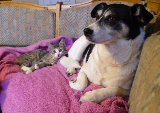 campa-luzy-13-10-2016-e