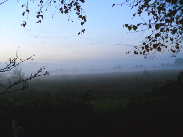 herbstnebel-21-10-2016-a