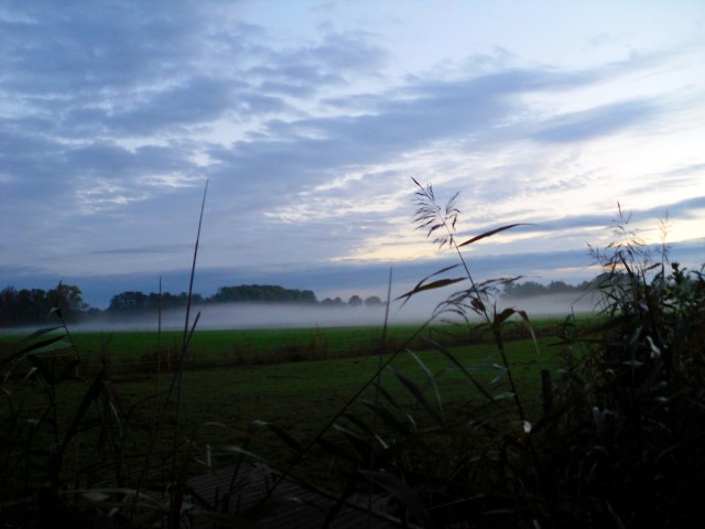 herbstnebel-21-10-2016-b