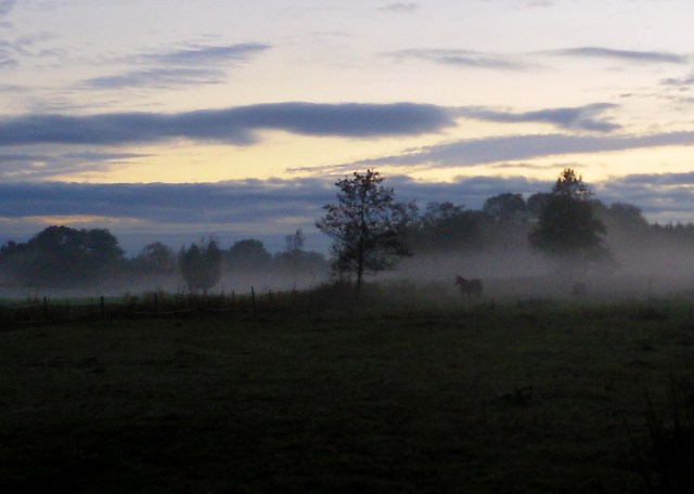 herbstnebel-21-10-2016-c