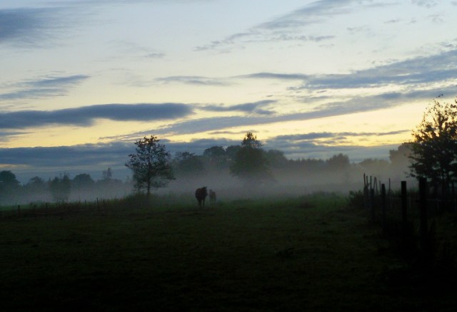 herbstnebel-21-10-2016-e