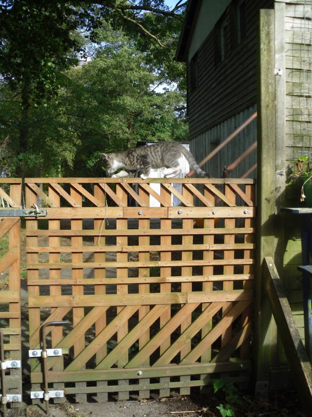 luzy-tor-01-10-2016-f