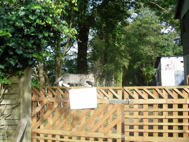 luzy-tor-01-10-2016-l