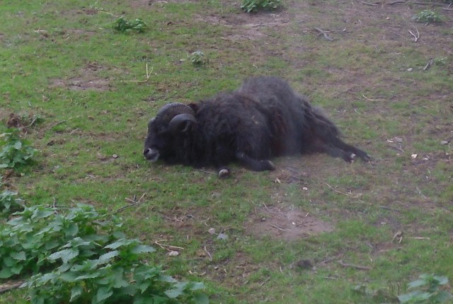 carsten-pennt-19-10-2016-b