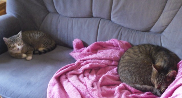 mary-luzy-04-11-2016-b