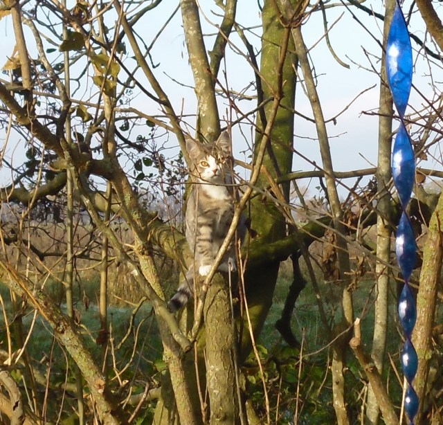 luzy-baum-09-11-2016-b