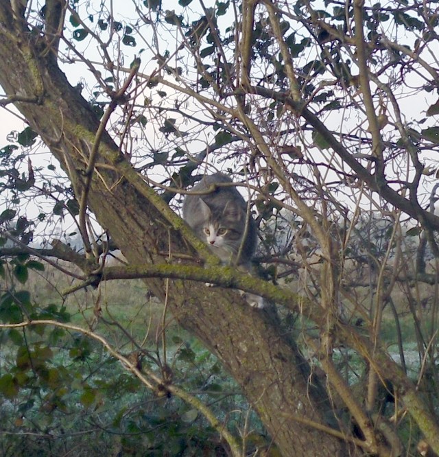 luzy-baum-09-11-2016-p