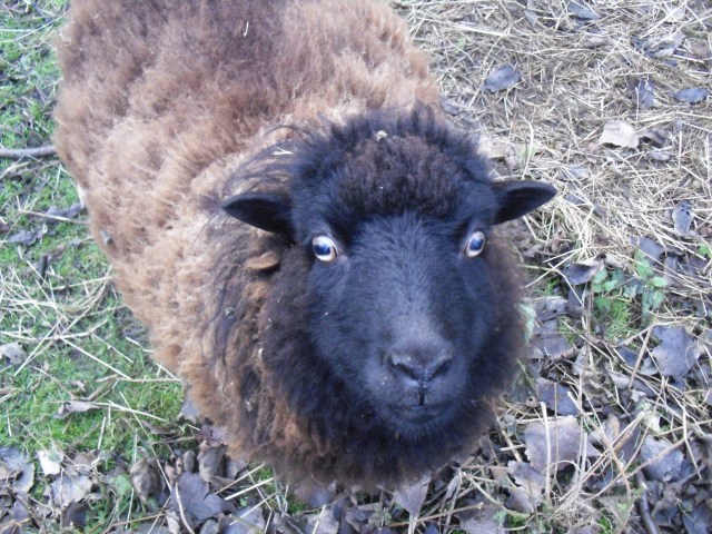 tinki-winki-05-12-2016-a