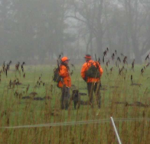 treibjagd-treiber-nah-2