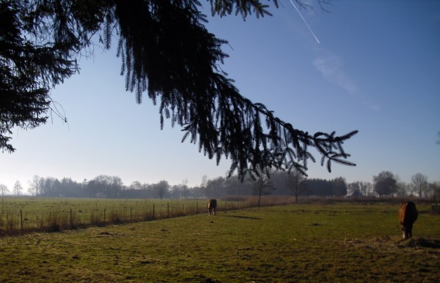 winter-mittag-05-12-2016-b