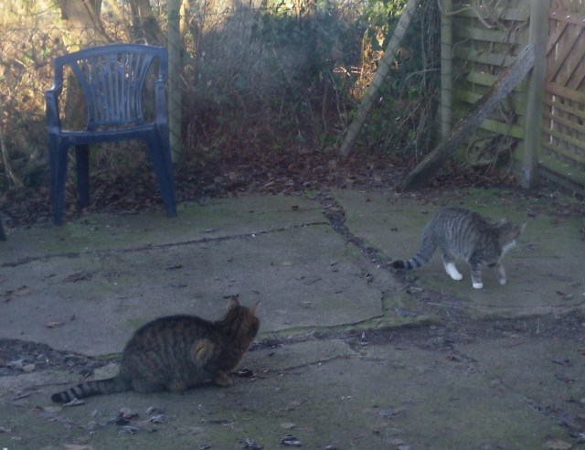 mary-luzy-05-12-2016-a