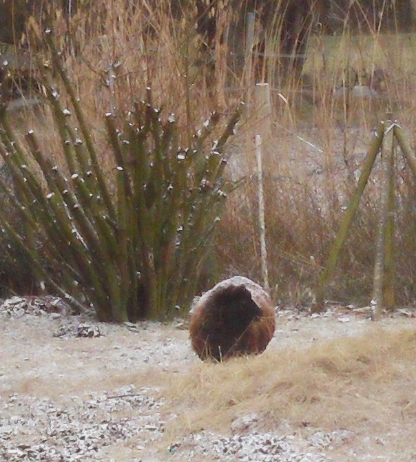 tini-winki-11-02-2017-a