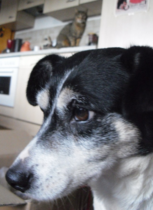 campa-mary-01-03-2017