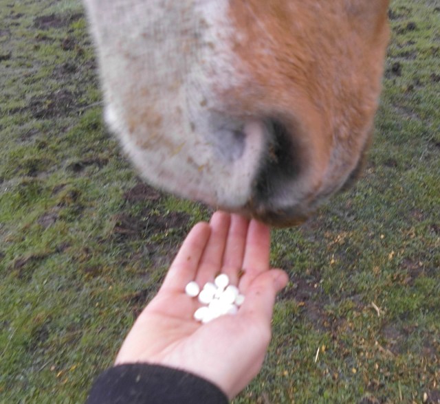 Schüßler-Salz-Tabletten-30.03.2017
