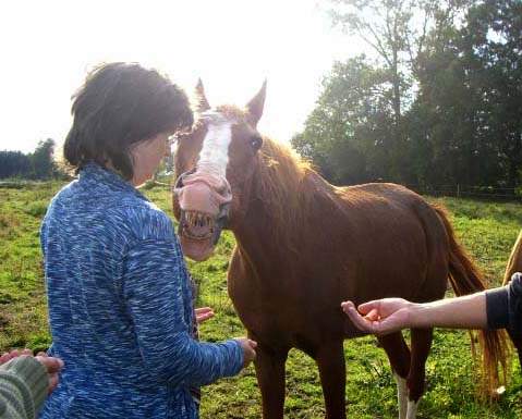 Bachus-lacht-sich-schlapp