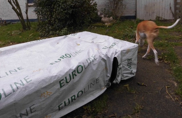 Chica-Holz-14.10.2017-a