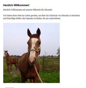 Pferd mit weisser Blesse