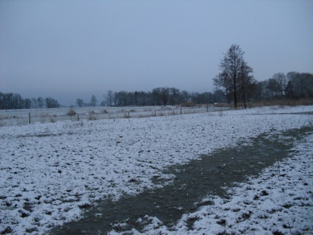 Eis-u-Schnee-Februar