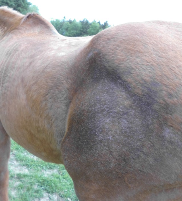 Miranda-Fell-11.05.2018-b