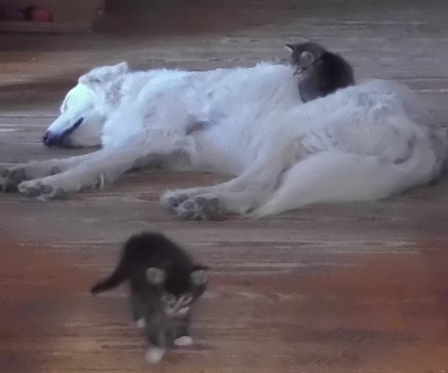 Giada-Babys-15.06.2018-c