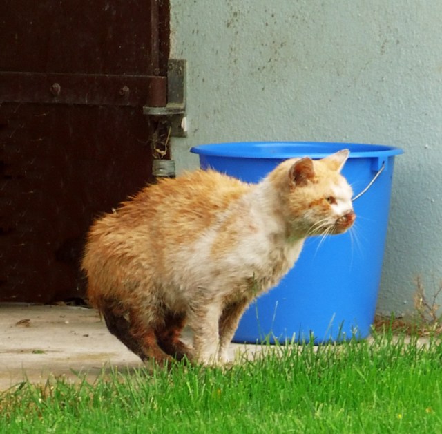 Max-nach-der-OP-23.06.2018