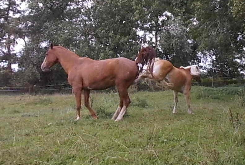 Erster-Tag-09.09.2018-f