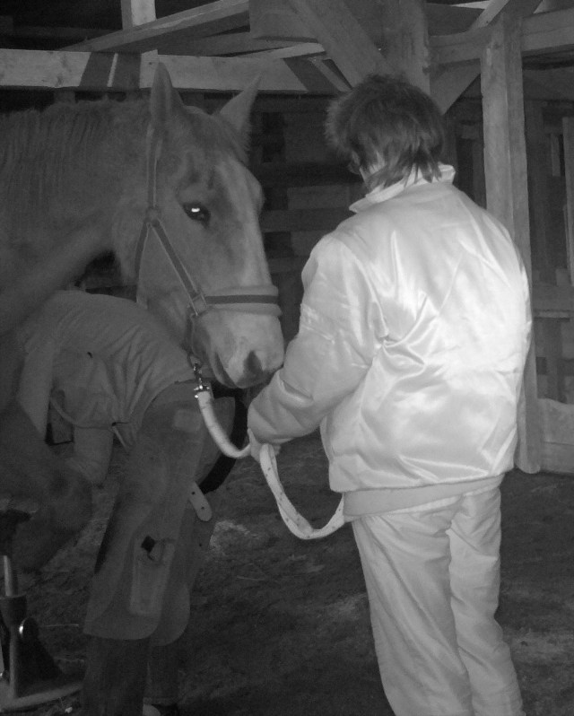 Hufpflege 09.01.2018 f.jpg