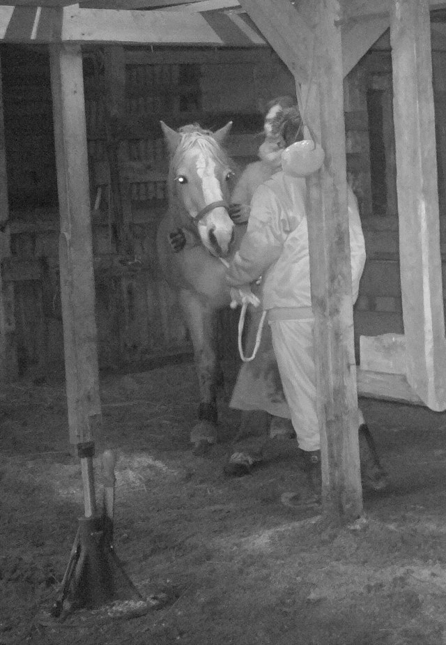 Hufpflege 09.01.2018 s.jpg