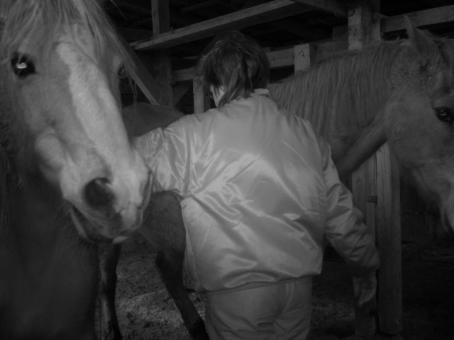 Im Stall 09.01.2018-a.jpg