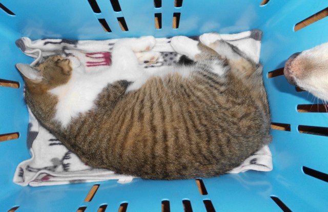 Andy 25.02.2019 a.jpg