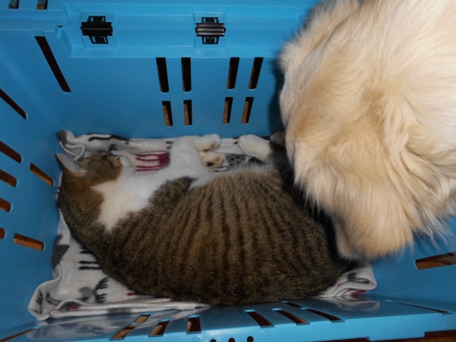 Andy 25.02.2019 b.jpg