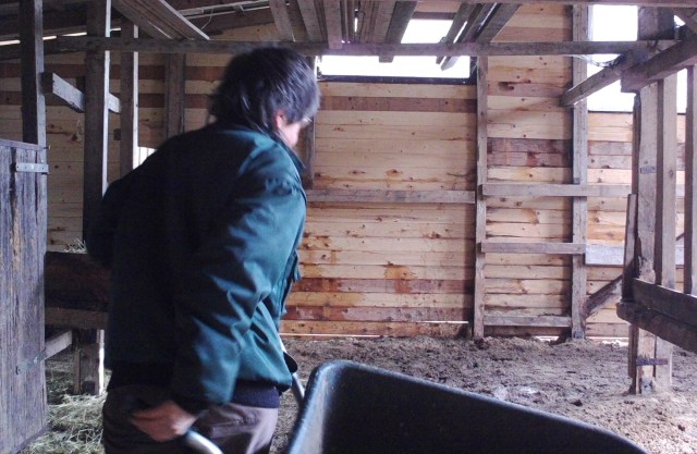 Misten 15.03.2019 c.jpg