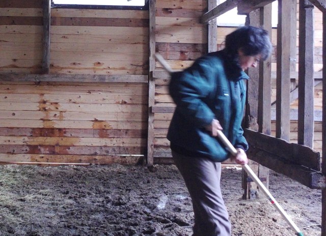 Misten 15.03.2019 d.jpg