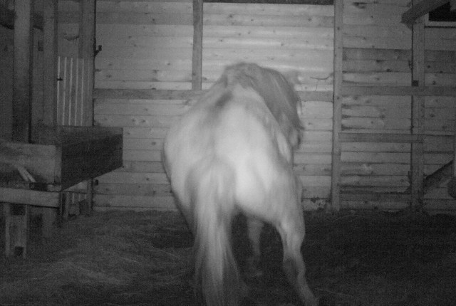 Nielsson 26.03.2019 a.jpg