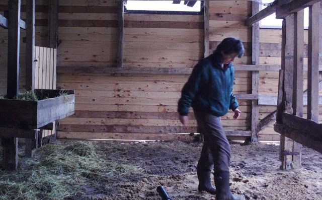 Sand verteilen 26.03.2019 c.jpg