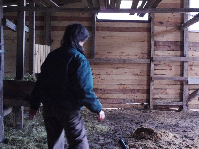 Sand verteilen 26.03.2019 d.jpg