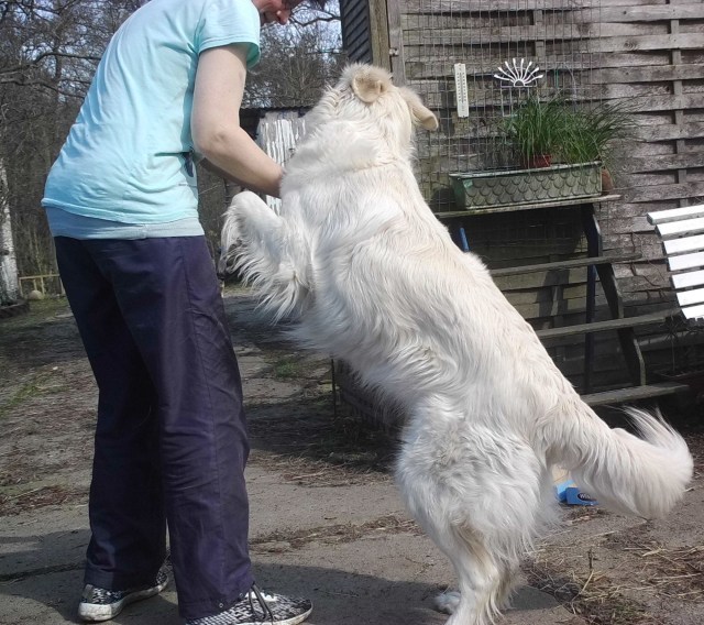 Bewegung a d Hof 07.04.2019 i.jpg