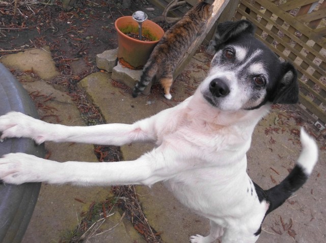 Campa 21.03.2019 a.jpg