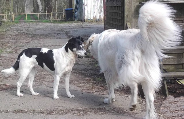 Campa Giada 07.04.2019 b.jpg