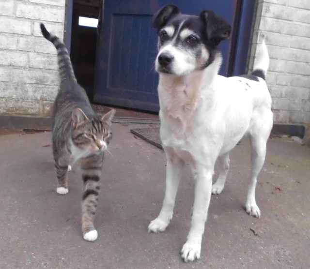 Campa Sissi 06.04.2019.jpg