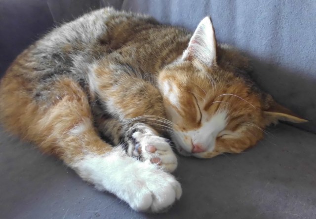 Face 11.03.2019 b.jpg