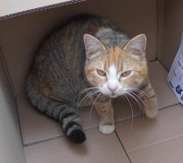 Face 26.04.2019 b.jpg