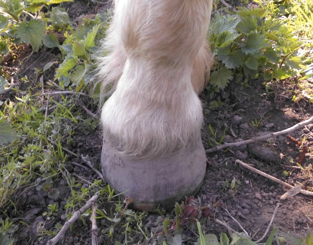 Huf Nielsson 17.04.2019 a.jpg