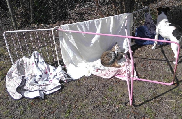 Noch mal waschen 5.jpg