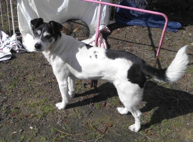 Noch mal waschen 7a.jpg