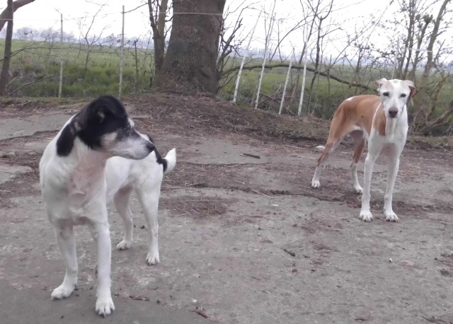 Campa Chica 06.04.2019 b.jpg