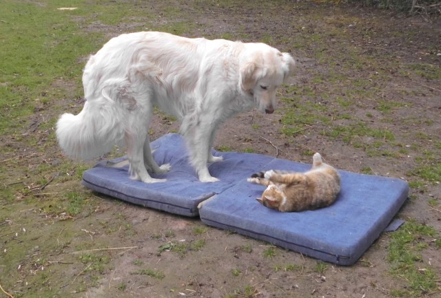 Giada Face 20.05.2019 a.jpg