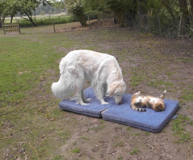 Giada Face 20.05.2019 b.jpg