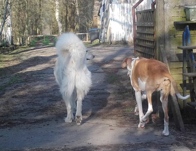 Komm mit Baby 08.04.2019.jpg